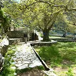 Zeus House *