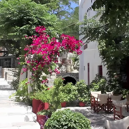 Zeus House Σπίτι διακοπών Naxos City