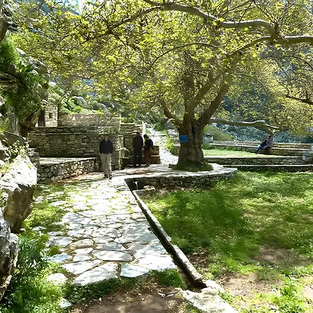 Zeus House *