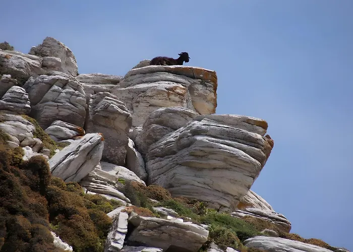 Zeus House Vakantiehuis